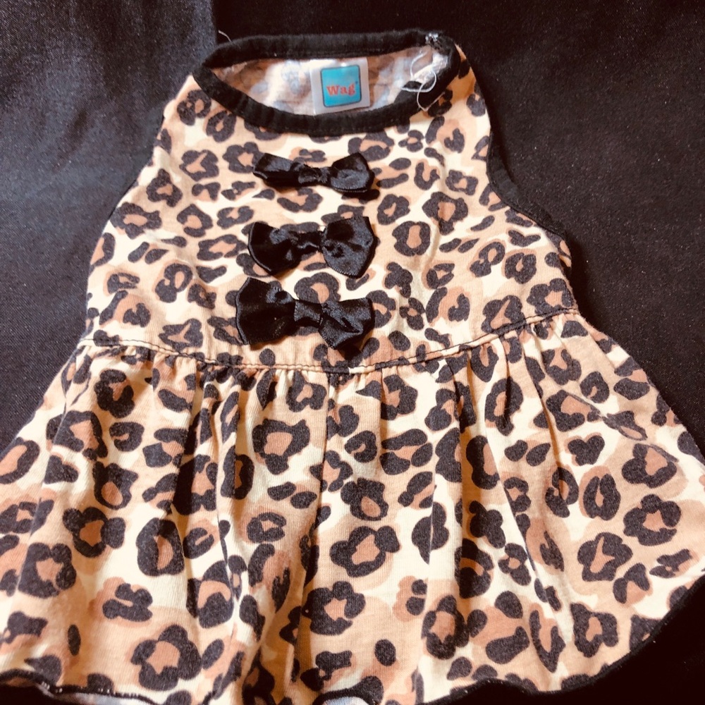 Wag Leopard Print Dog Dress with Black Bows